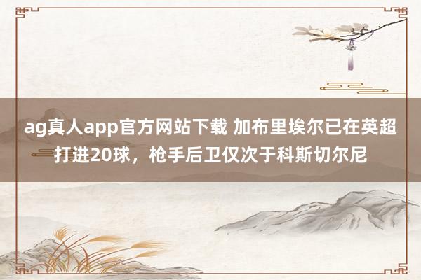ag真人app官方网站下载 加布里埃尔已在英超打进20球，枪手后卫仅次于科斯切尔尼