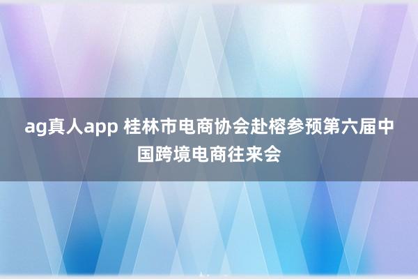 ag真人app 桂林市电商协会赴榕参预第六届中国跨境电商往来会