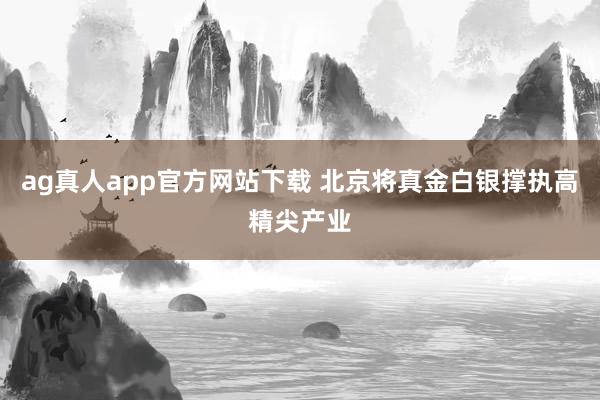 ag真人app官方网站下载 北京将真金白银撑执高精尖产业