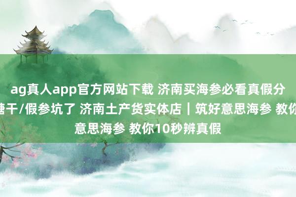 ag真人app官方网站下载 济南买海参必看真假分手｜别再被糖干/假参坑了 济南土产货实体店｜筑好意思海参 教你10秒辨真假