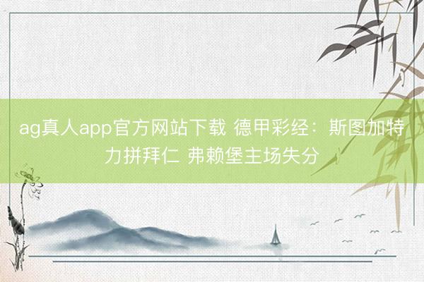 ag真人app官方网站下载 德甲彩经：斯图加特力拼拜仁 弗赖堡主场失分