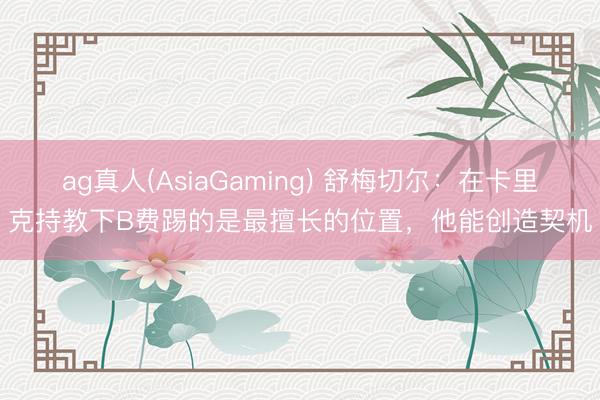 ag真人(AsiaGaming) 舒梅切尔：在卡里克持教下B费踢的是最擅长的位置，他能创造契机