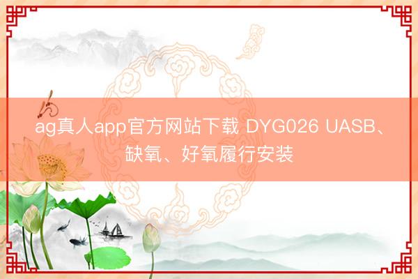 ag真人app官方网站下载 DYG026 UASB、缺氧、好氧履行安装