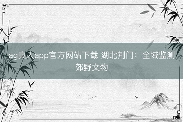 ag真人app官方网站下载 湖北荆门：全域监测郊野文物