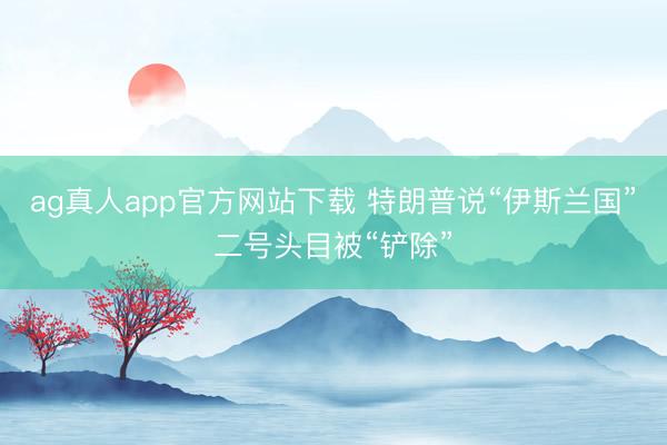 ag真人app官方网站下载 特朗普说“伊斯兰国”二号头目被“铲除”