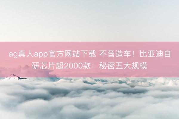 ag真人app官方网站下载 不啻造车！比亚迪自研芯片超2000款：秘密五大规模