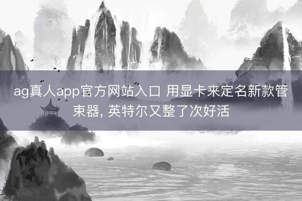 ag真人app官方网站入口 用显卡来定名新款管束器, 英特尔又整