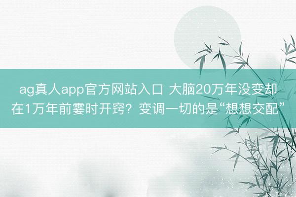 ag真人app官方网站入口 大脑20万年没变却在1万年前霎时开窍？变调一切的是“想想交配”