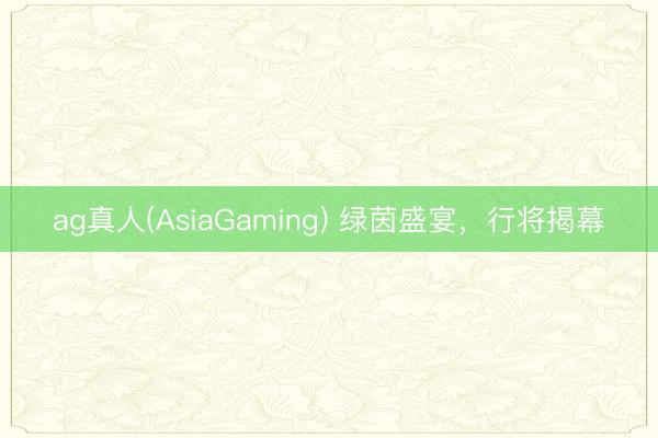 ag真人(AsiaGaming) 绿茵盛宴，<a href=