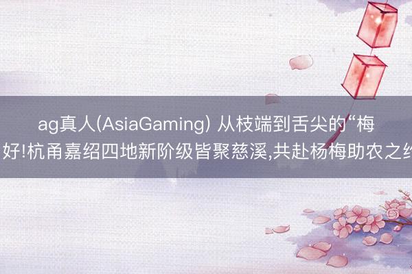 ag真人(AsiaGaming) 从枝端到舌尖的“梅”好!杭甬嘉绍四地新阶级皆聚慈溪，共赴杨梅助农之约