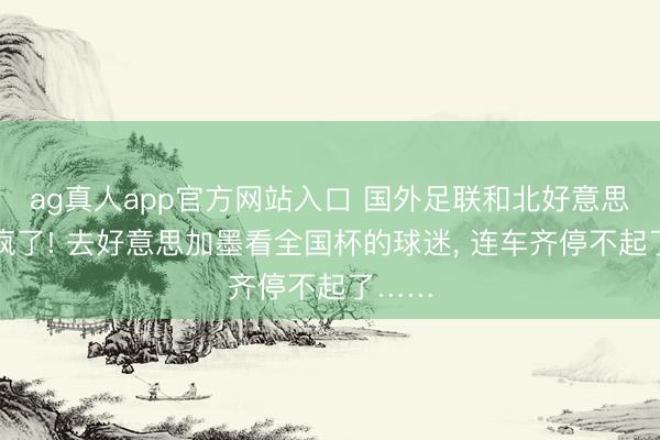 ag真人app官方网站入口 国外足联和北好意思洲穷疯了! 去好意思加墨看全国杯的球迷， 连车齐停不起了……